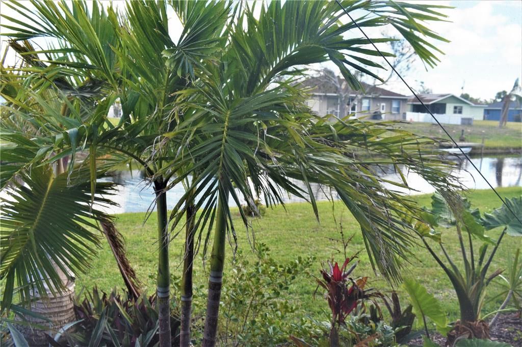 En Renta: $4,600 (2 camas, 2 baños, 1355 Pies cuadrados)