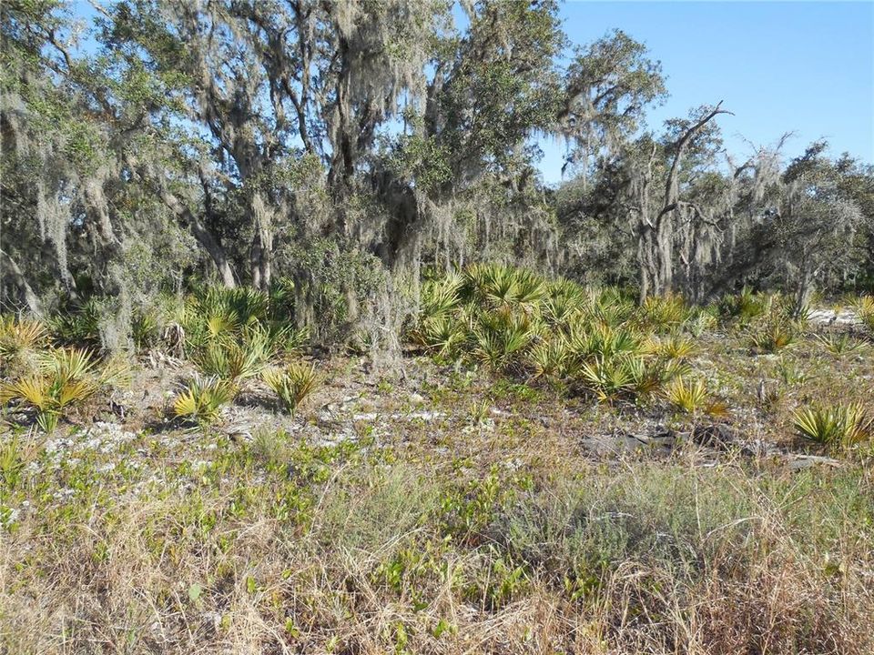 Recently Sold: $7,000 (0.18 acres)