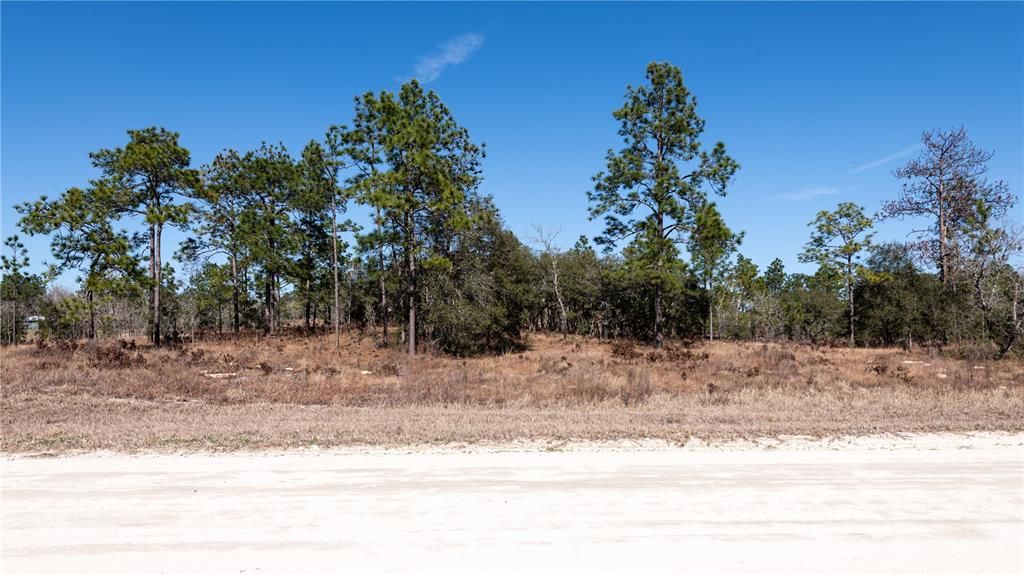 Recently Sold: $89,900 (5.00 acres)