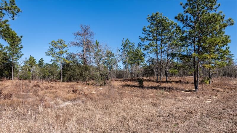 Recently Sold: $89,900 (5.00 acres)