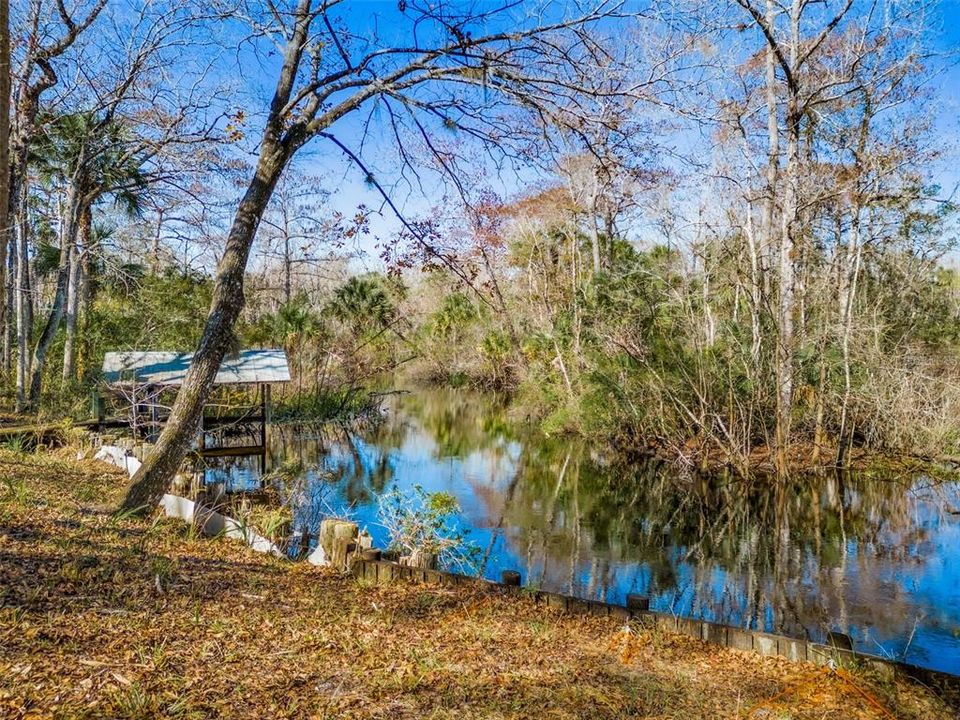 Alexander Springs Creek