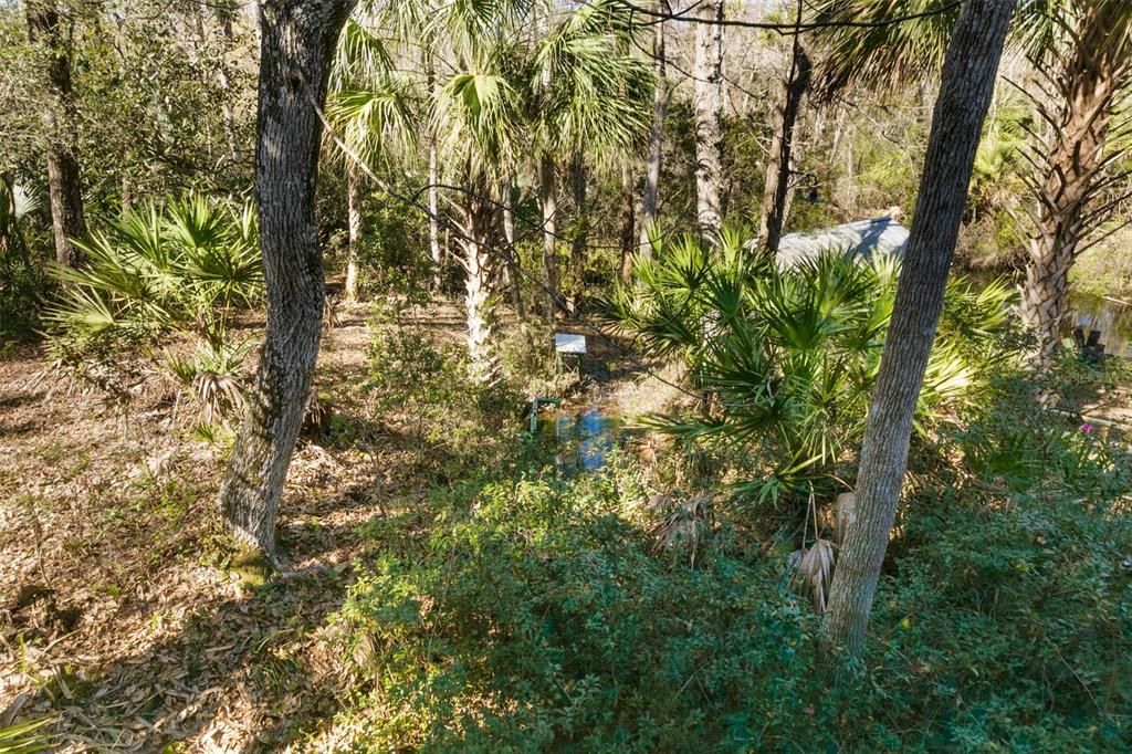 Artesian well