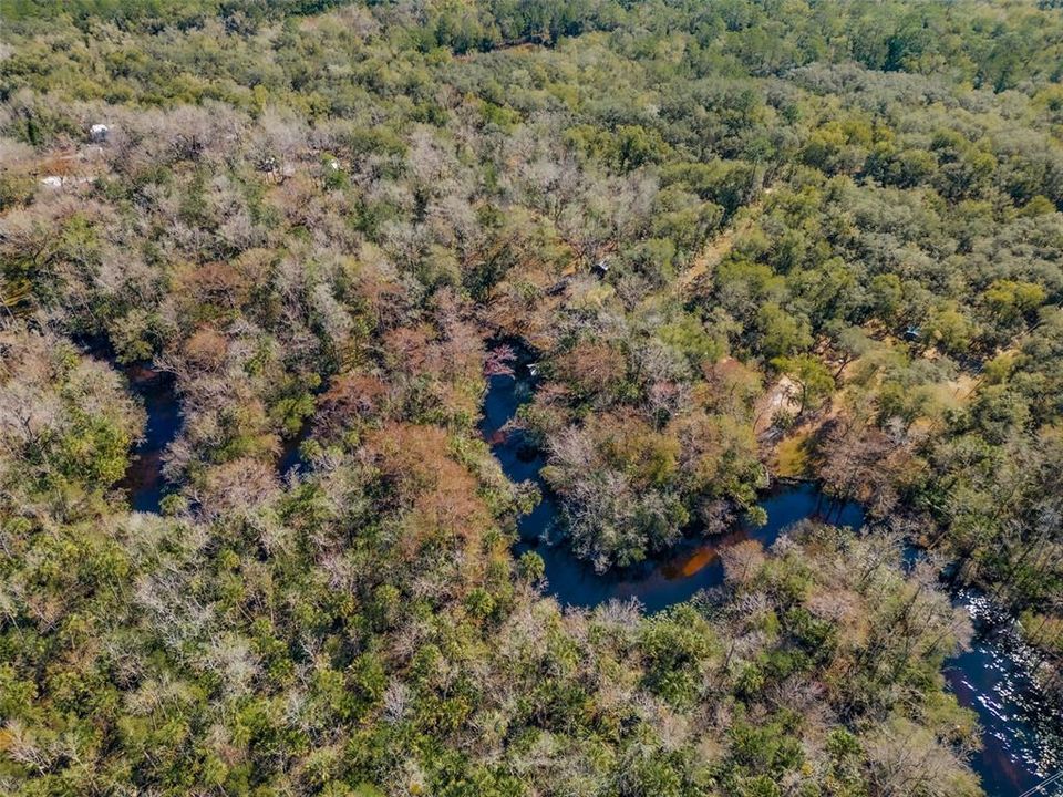 Alexander Springs Creek