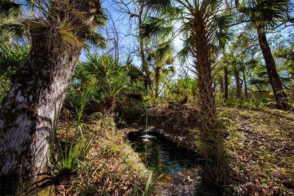 Artesian Well and Retaining pond for fresh fish caught