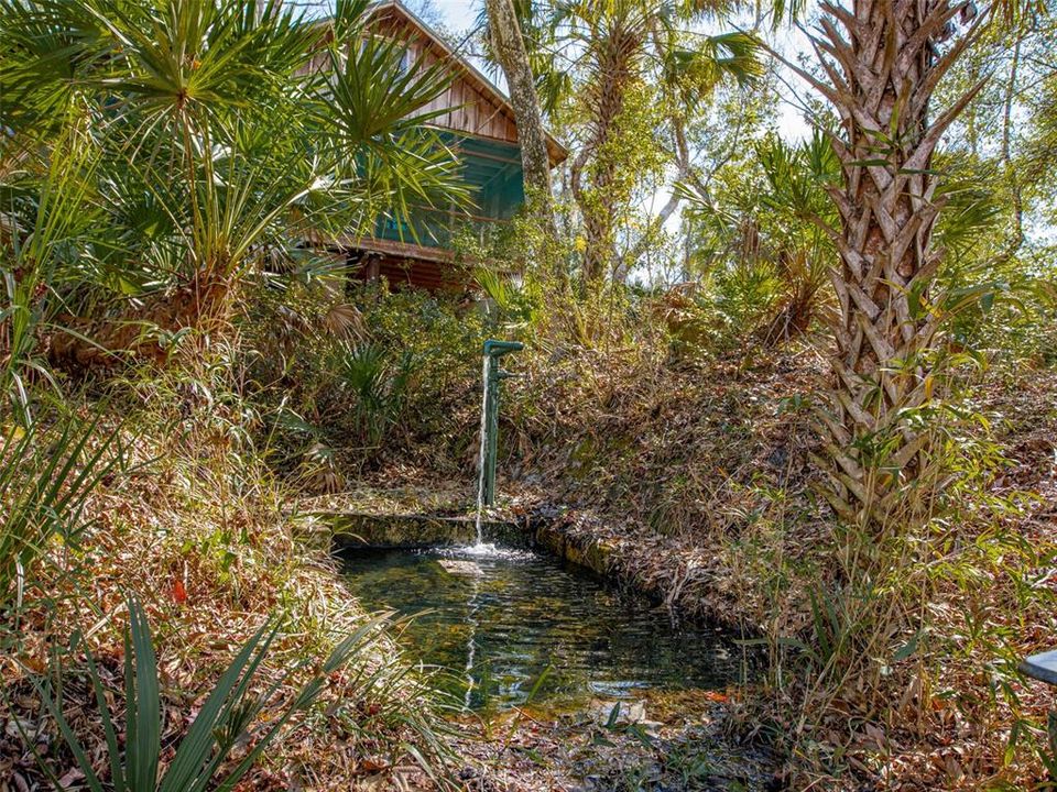 Artesian Well and Retaining pond for fresh fish caught