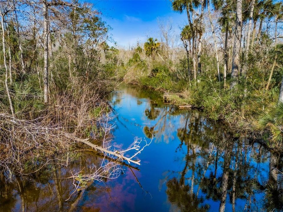 Alexander Springs Creek