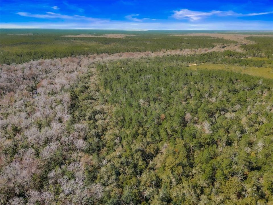 View of land from property