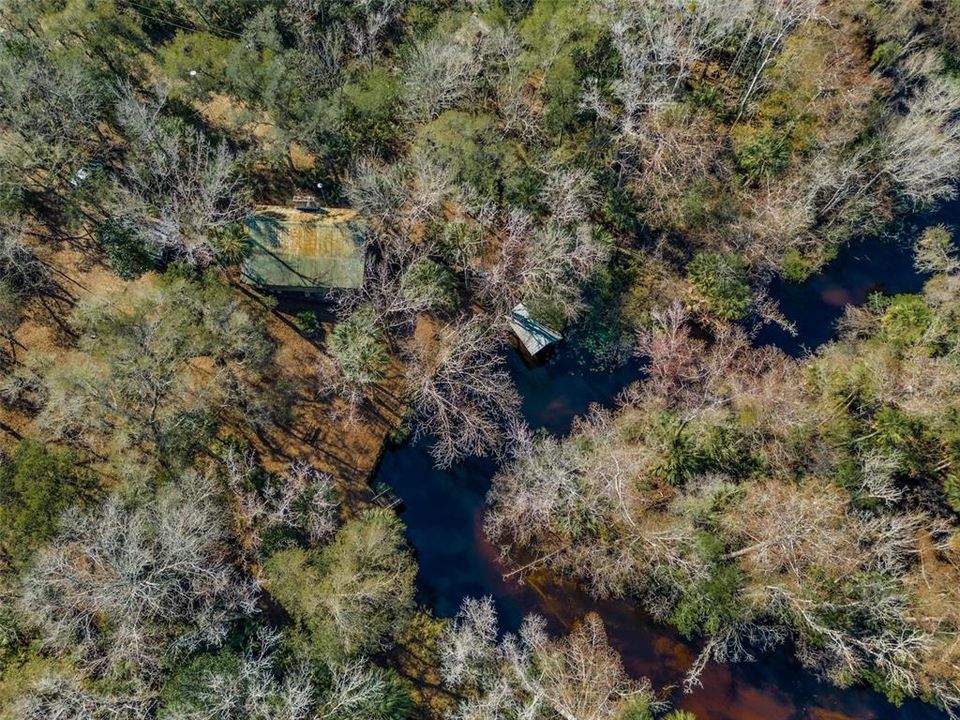 Bend in Alexander Springs Creek