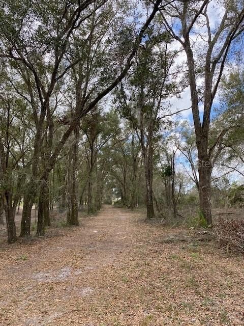 Entering a Florida lakefront wonderland.