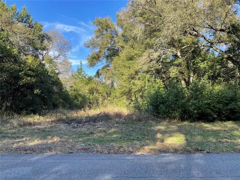 Recently Sold: $29,900 (0.39 acres)