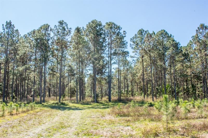 Recently Sold: $5,500,000 (79.12 acres)
