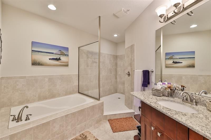 Tub and separate walk-in shower