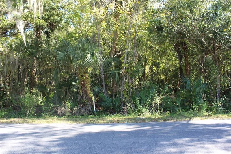 Recently Sold: $34,000 (0.19 acres)