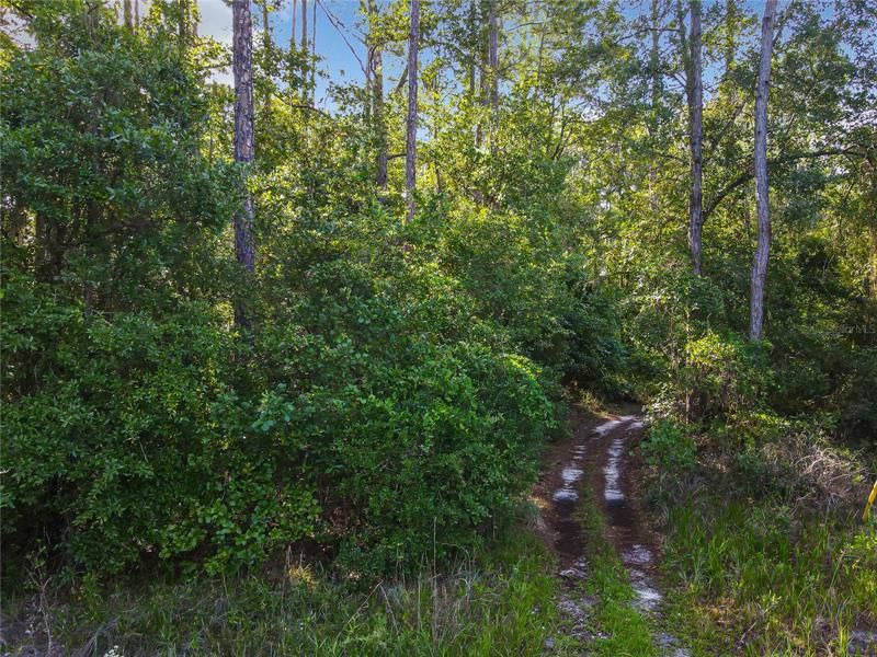 Recently Sold: $19,900 (1.18 acres)