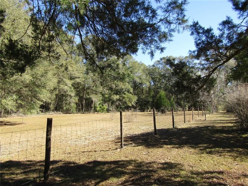 Fenced pasture