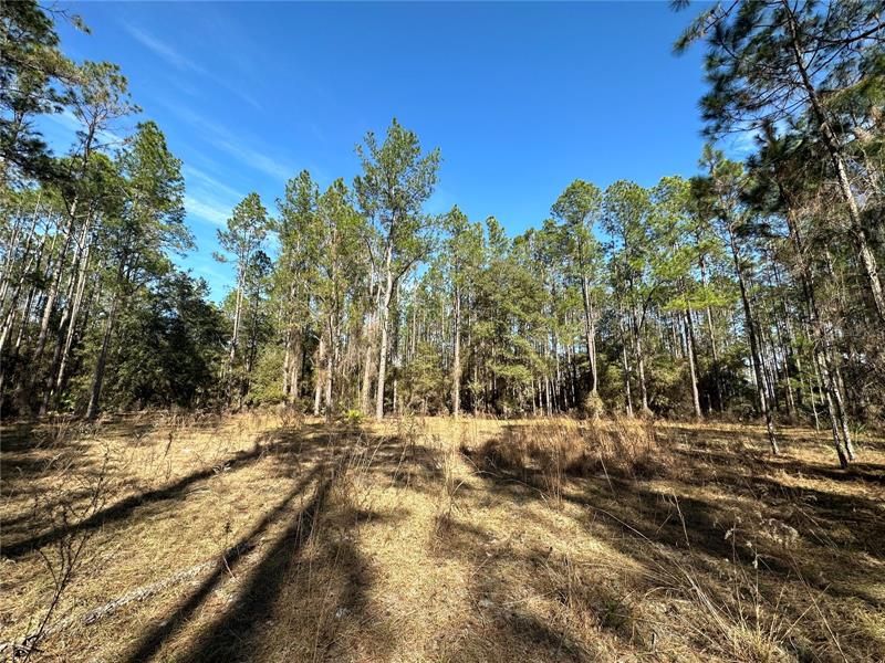 Recently Sold: $299,000 (40.00 acres)