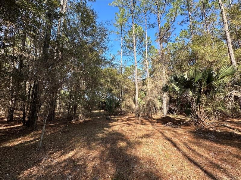 Recently Sold: $299,000 (40.00 acres)