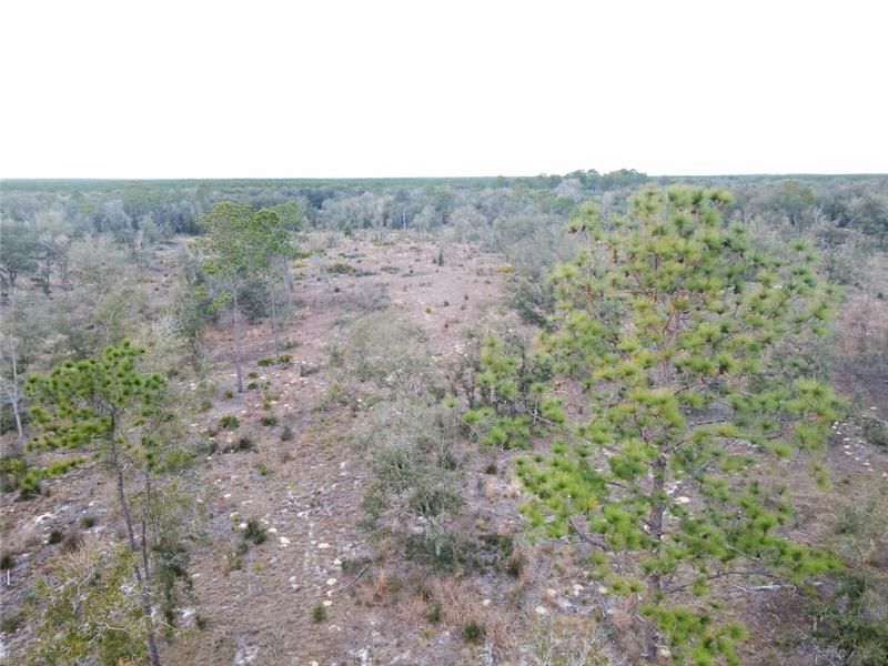 Recently Sold: $277,900 (31.76 acres)