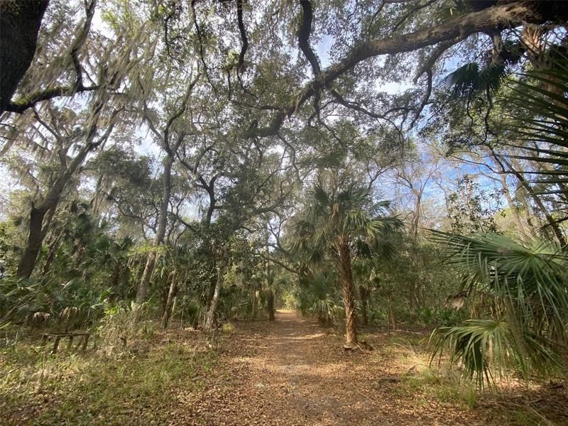 Recently Sold: $375,000 (24.21 acres)