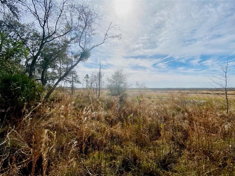 Recently Sold: $375,000 (24.21 acres)