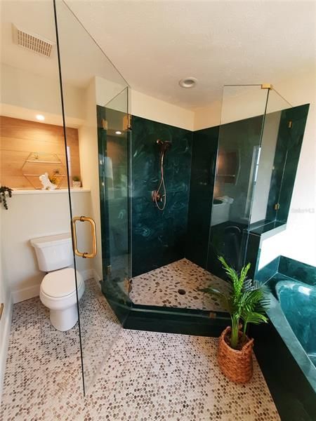 Glass shower walls & Custom Art Nook