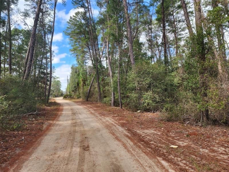 Bellamy Road, Property is on Right