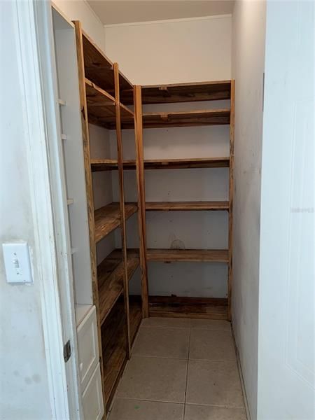 BR2 walk-in closet