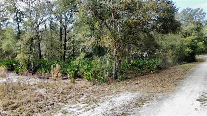 Recently Sold: $28,000 (1.15 acres)