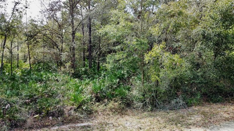 Recently Sold: $28,000 (1.15 acres)