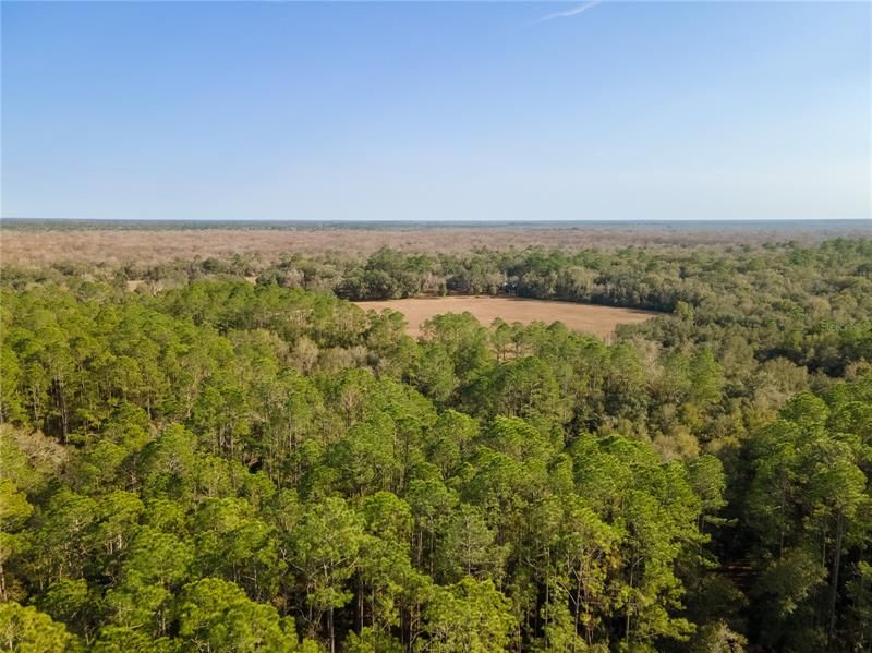 Recently Sold: $75,000 (4.89 acres)
