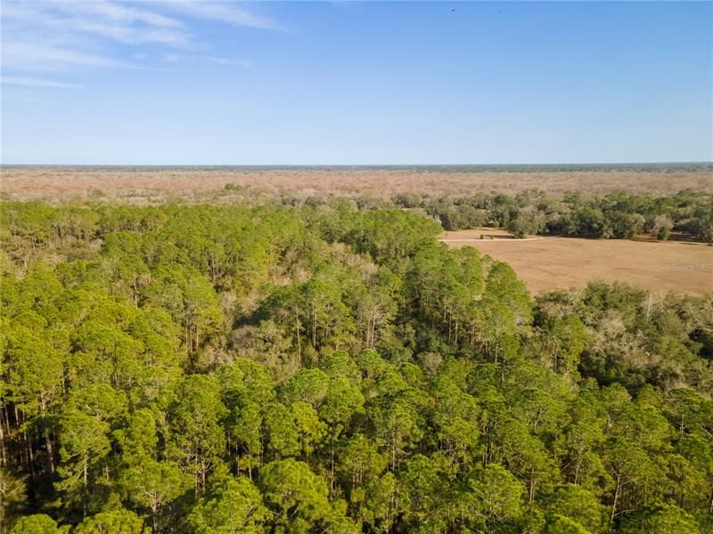 Recently Sold: $75,000 (4.89 acres)