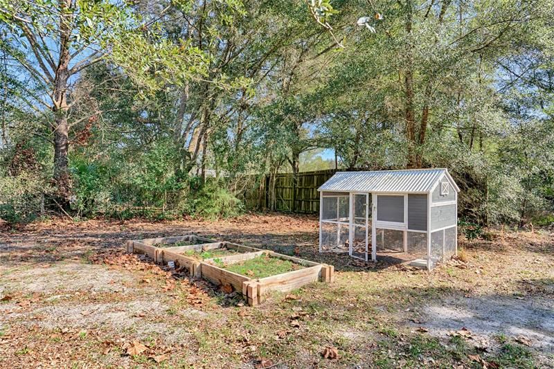 Chicken Coop