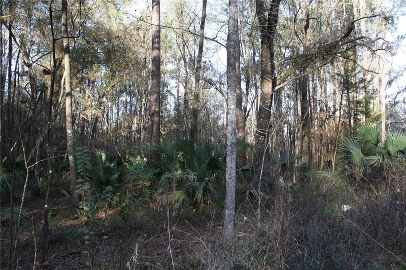 Recently Sold: $7,000 (0.26 acres)