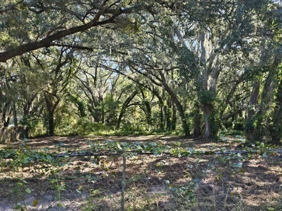 For Sale: $112,000 (0.24 acres)