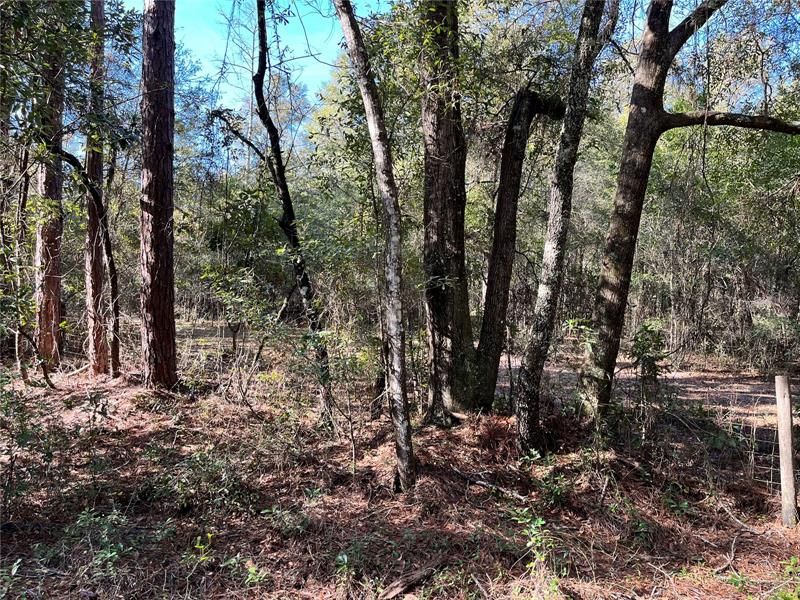 Recently Sold: $74,900 (4.96 acres)