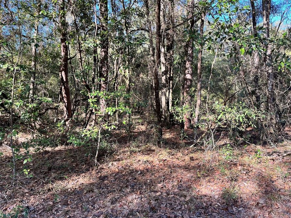 Recently Sold: $74,900 (4.96 acres)