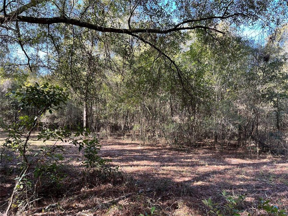 Recently Sold: $74,900 (4.96 acres)