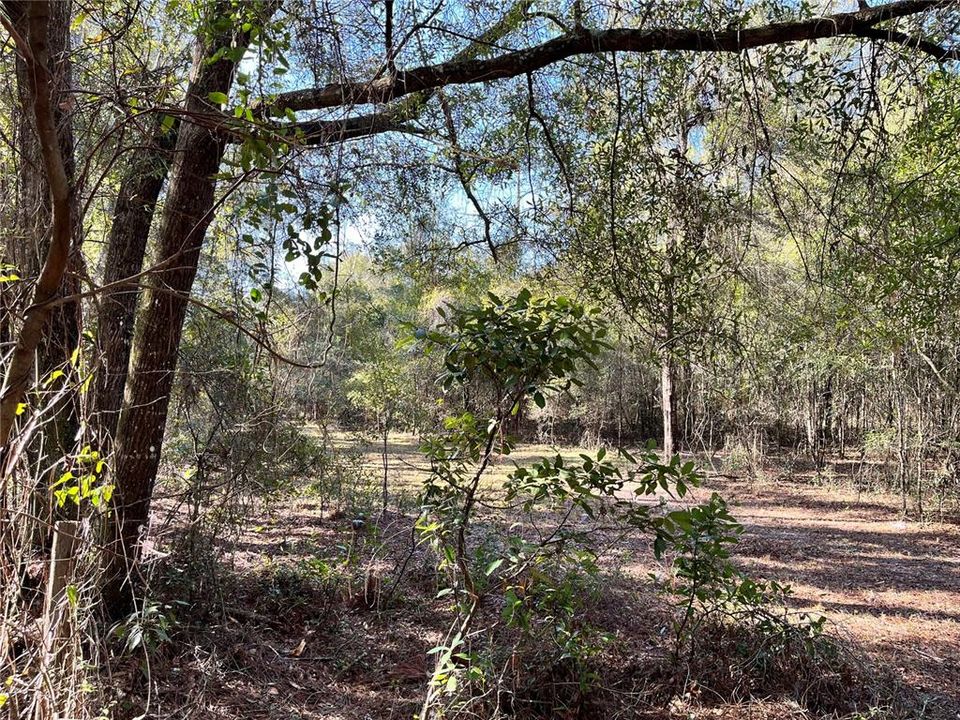 Recently Sold: $74,900 (4.96 acres)