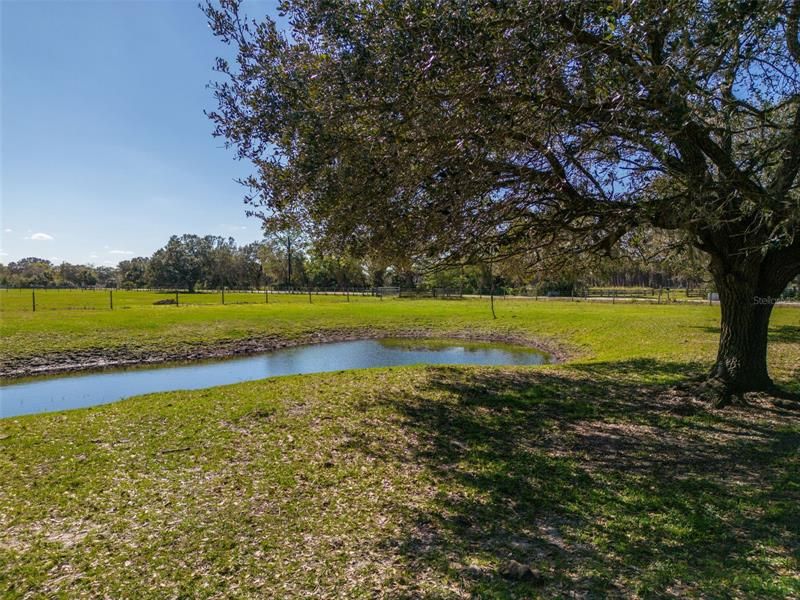 Recently Sold: $350,000 (5.04 acres)