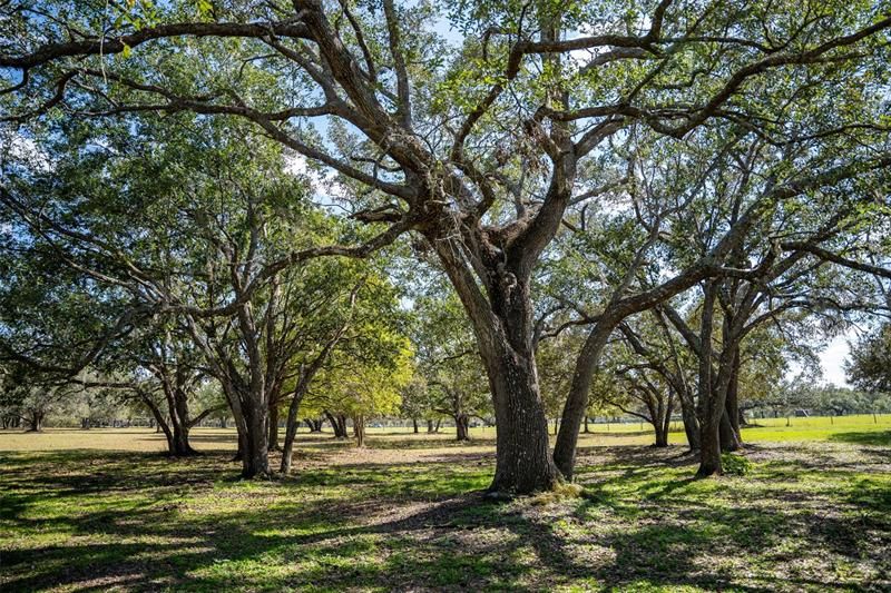 Недавно продано: $350,000 (5.04 acres)