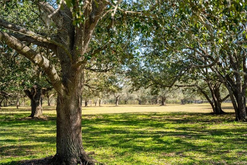 Недавно продано: $350,000 (5.04 acres)