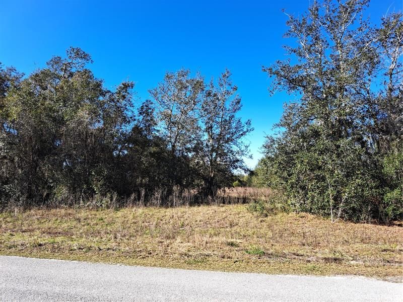 Recently Sold: $100,000 (1.03 acres)