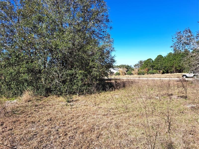 Recently Sold: $100,000 (1.03 acres)