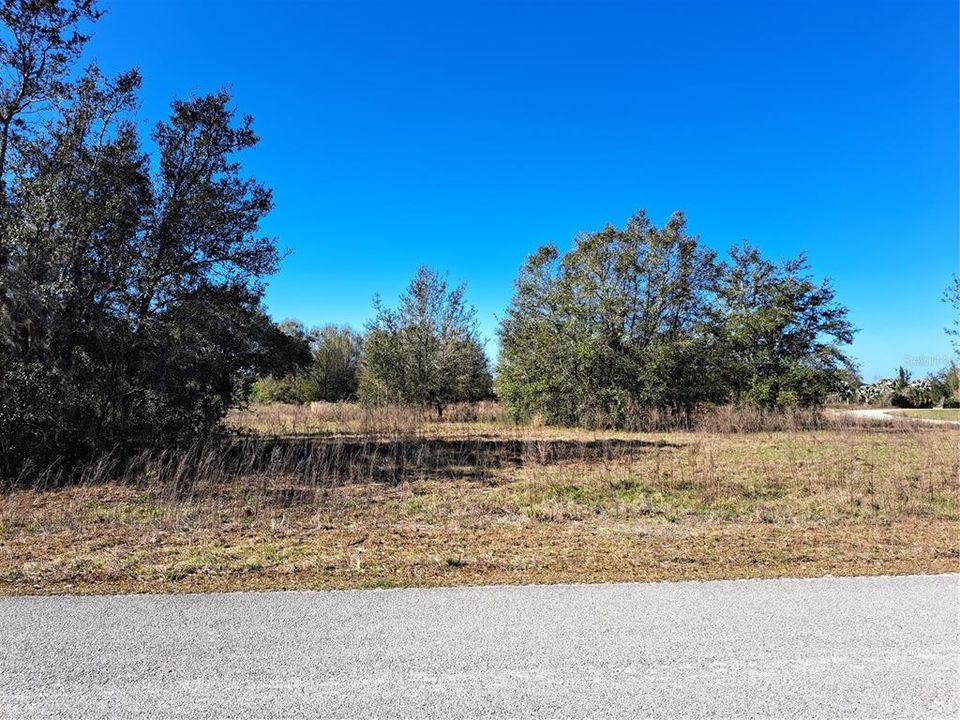 Recently Sold: $100,000 (1.03 acres)