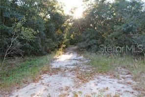 Recently Sold: $25,000 (2.98 acres)