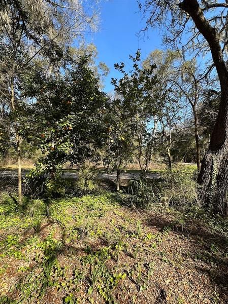 Recently Sold: $14,500 (0.62 acres)