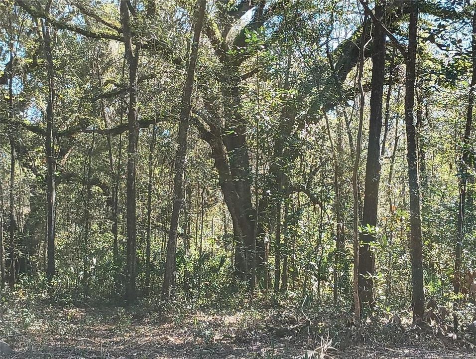Recently Sold: $15,000 (0.50 acres)