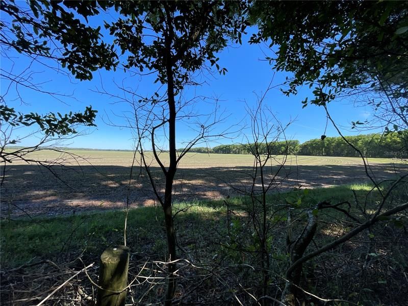 Недавно продано: $37,000 (3.60 acres)