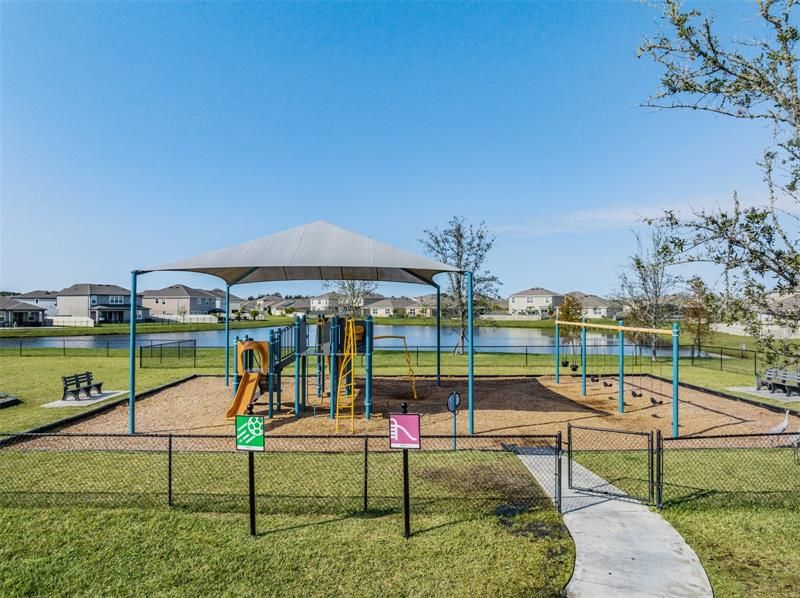 Wonderful swings and playground