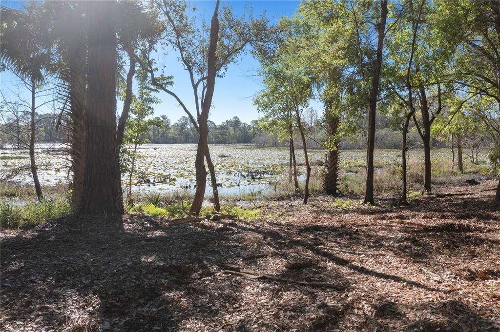 For Sale: $435,000 (1.01 acres)